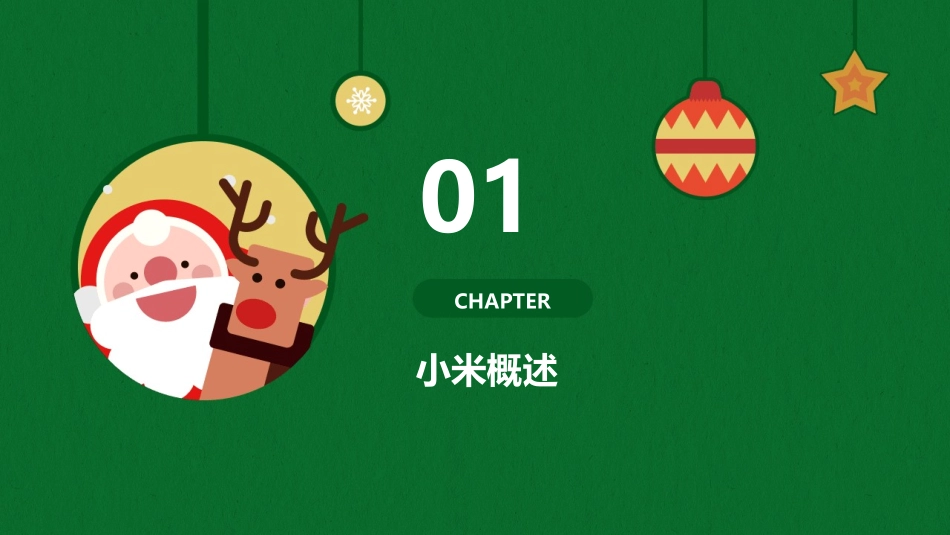 小米的全球化进程课件_第3页