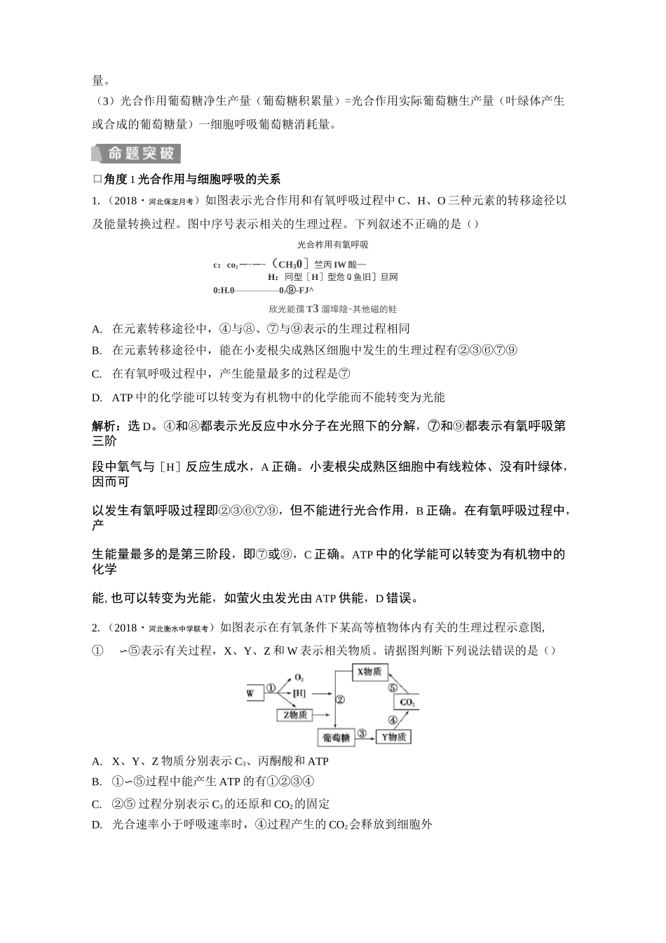 光合作用与呼吸作用之间的关系_第2页