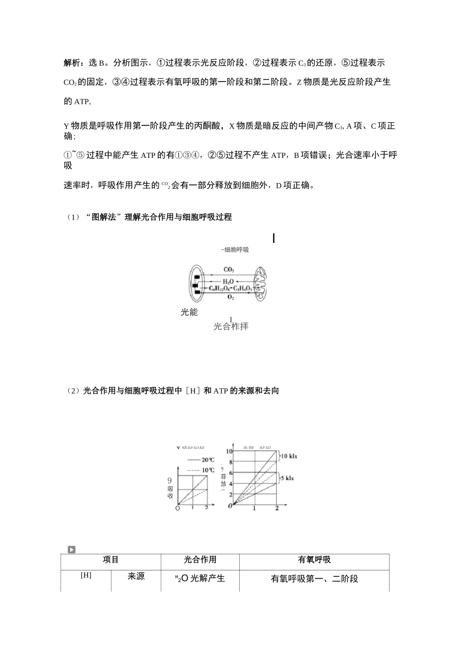 光合作用与呼吸作用之间的关系_第3页