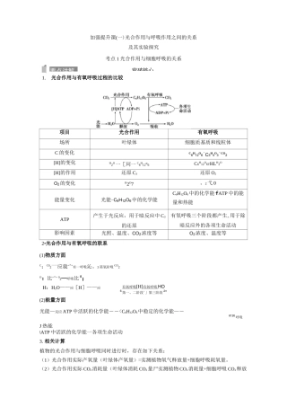 光合作用与呼吸作用之间的关系