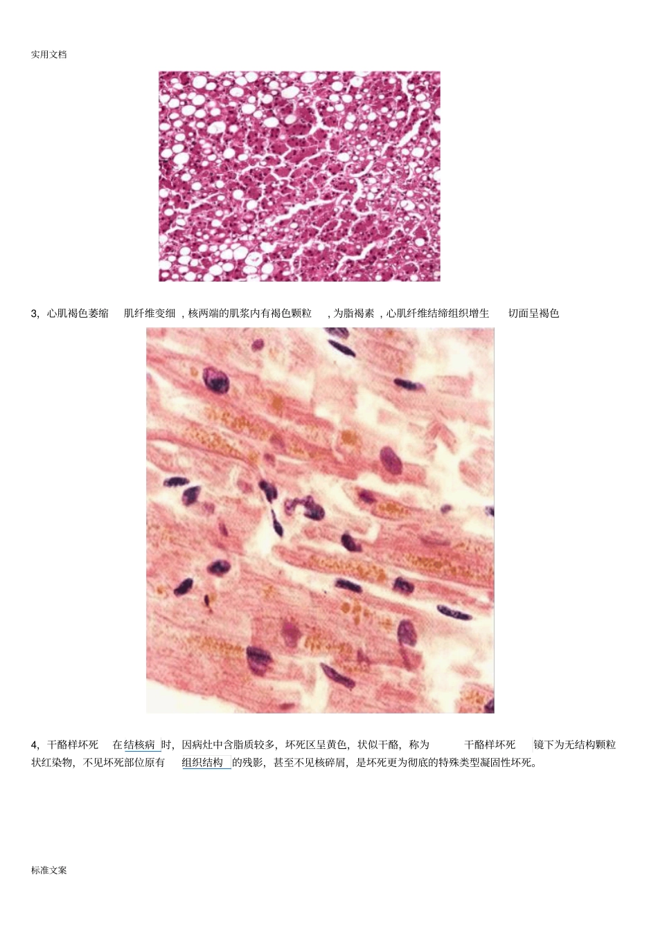 病理学切片和标本_第2页