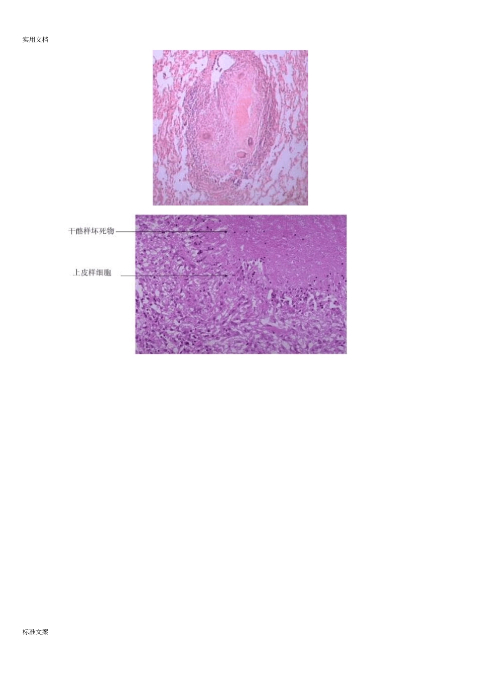 病理学切片和标本_第3页