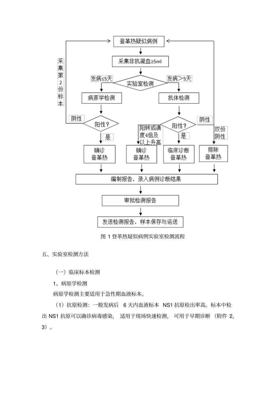 登革热试验室检测指引教材_第3页