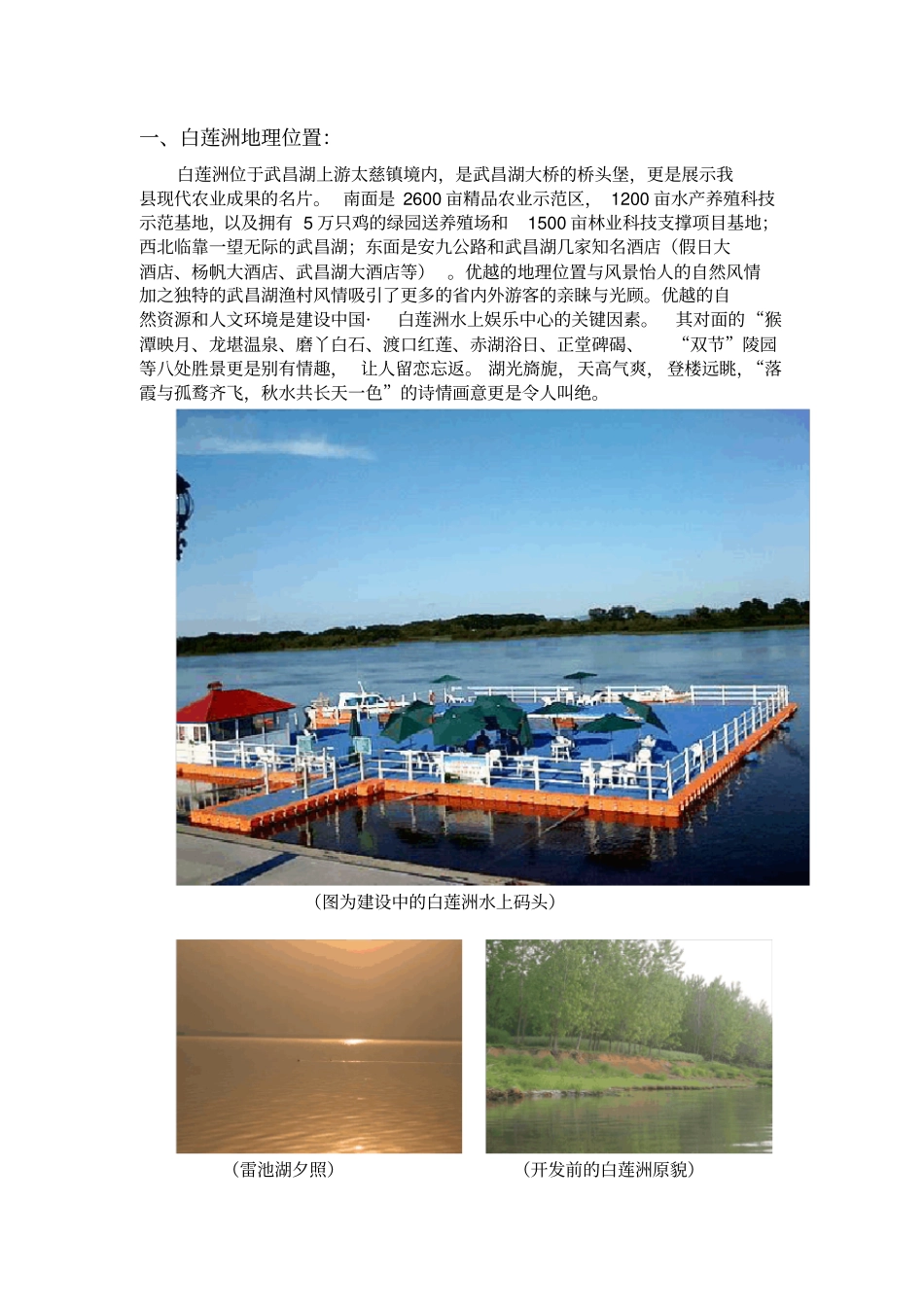 白莲洲水上娱乐中心运营策划书_第2页