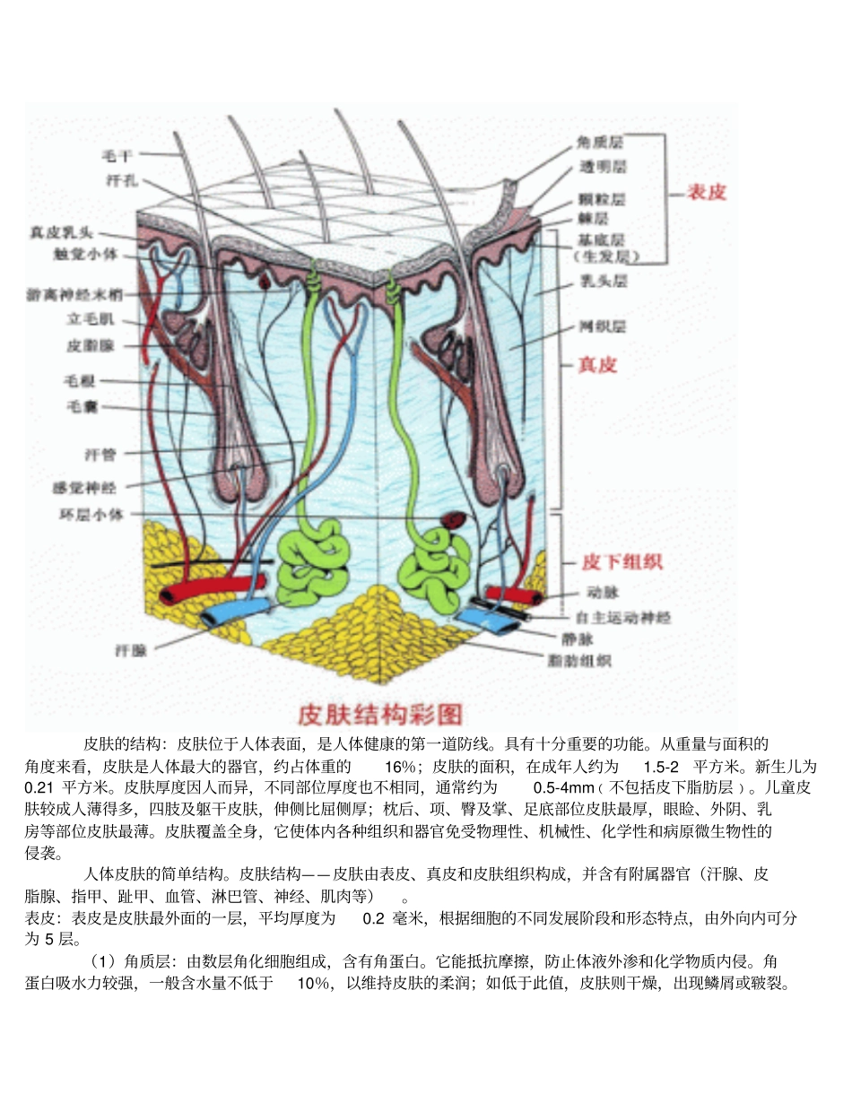 皮肤学和皮肤美容学_第3页