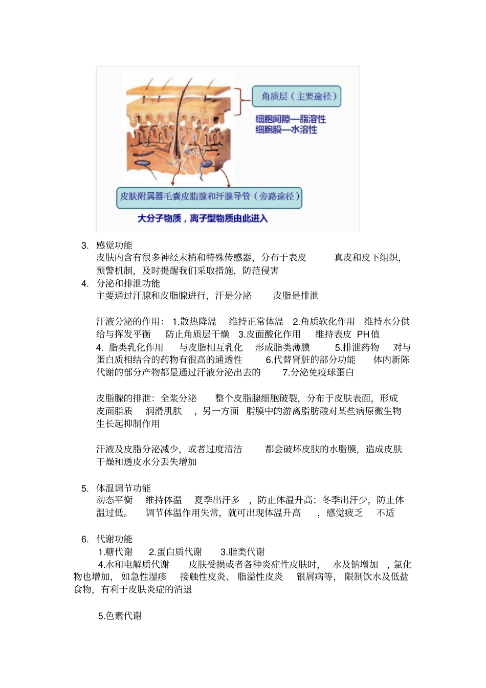 皮肤的生理功能_第2页
