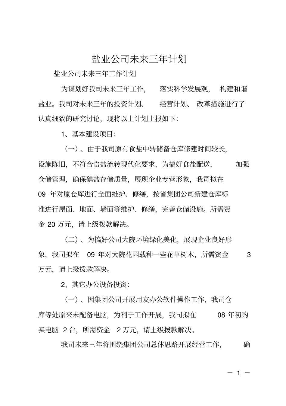 盐业公司未来三年计划_第1页