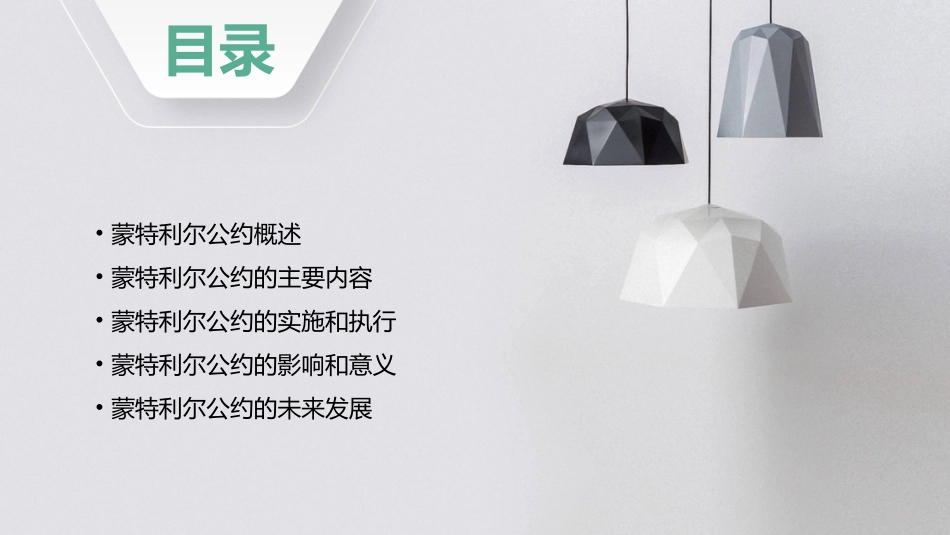 蒙特利尔公约通用课件_第2页