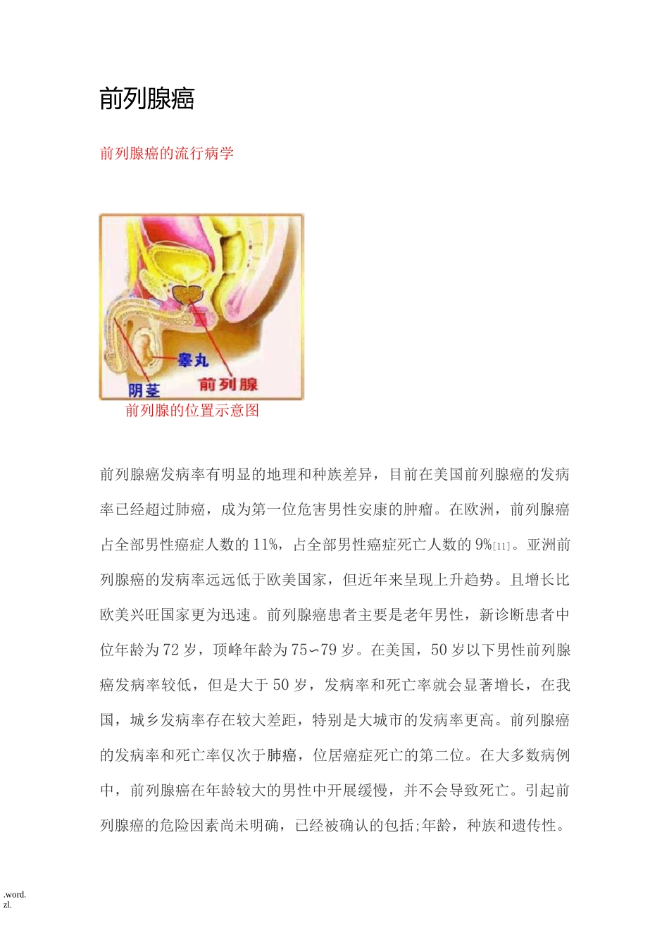 前列腺癌科普文章_第1页