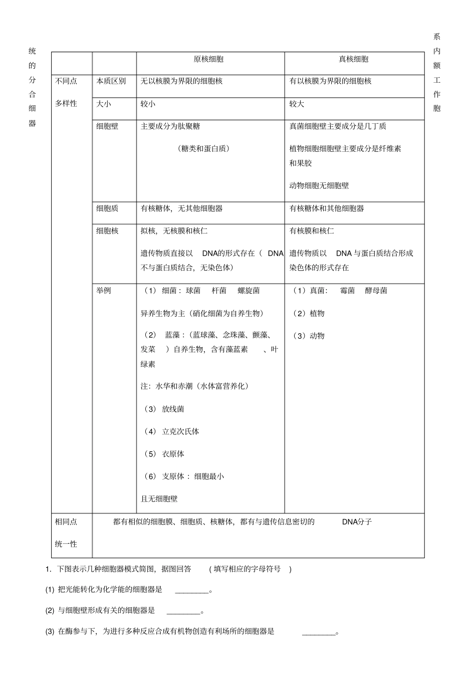 真核细胞与原核细胞比较表_第1页