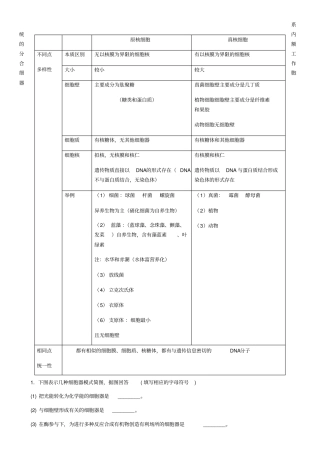 真核细胞与原核细胞比较表