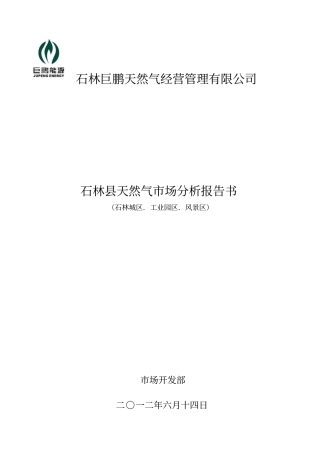 石林天然气场分析报告书资料