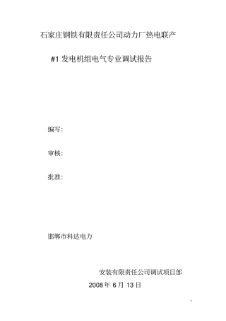 石钢#1发电机组电气调试报告Microsoft文档综述