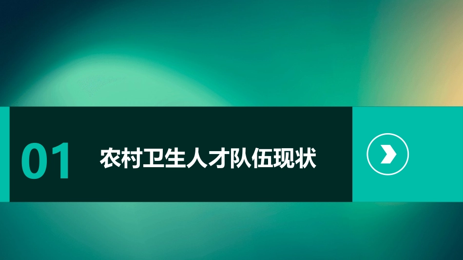 农村卫生人才队伍课件_第3页