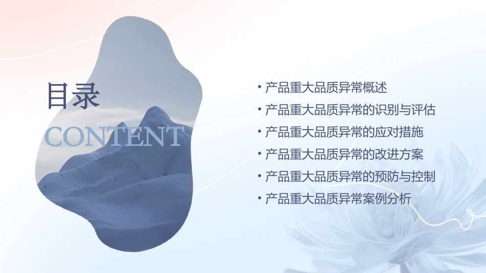 产品重大品质异常检讨资料课件_第2页