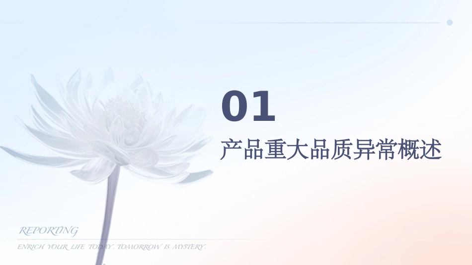 产品重大品质异常检讨资料课件_第3页