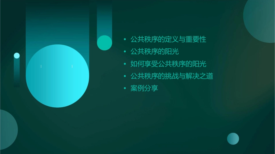 享受公共秩序的阳光课件1_第2页