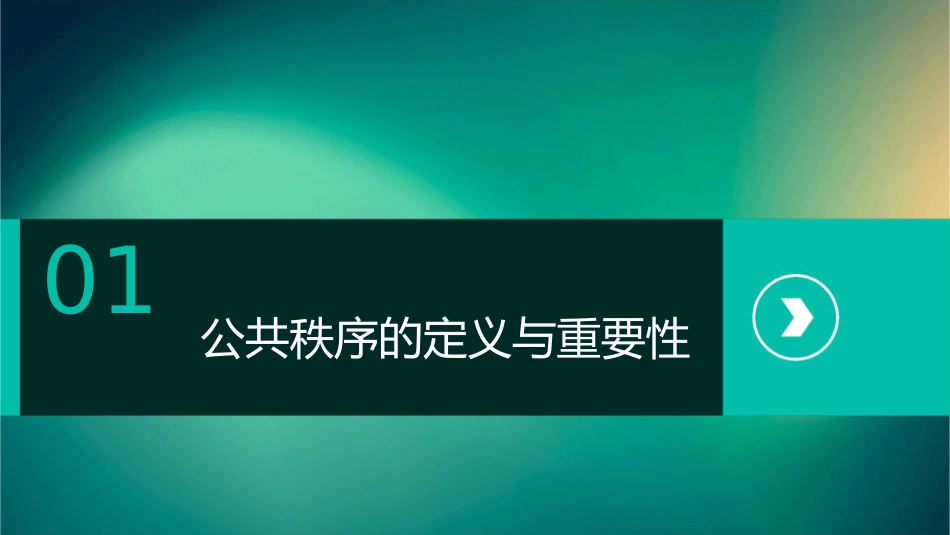 享受公共秩序的阳光课件1_第3页