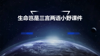 生命岂是三言两语小野课件