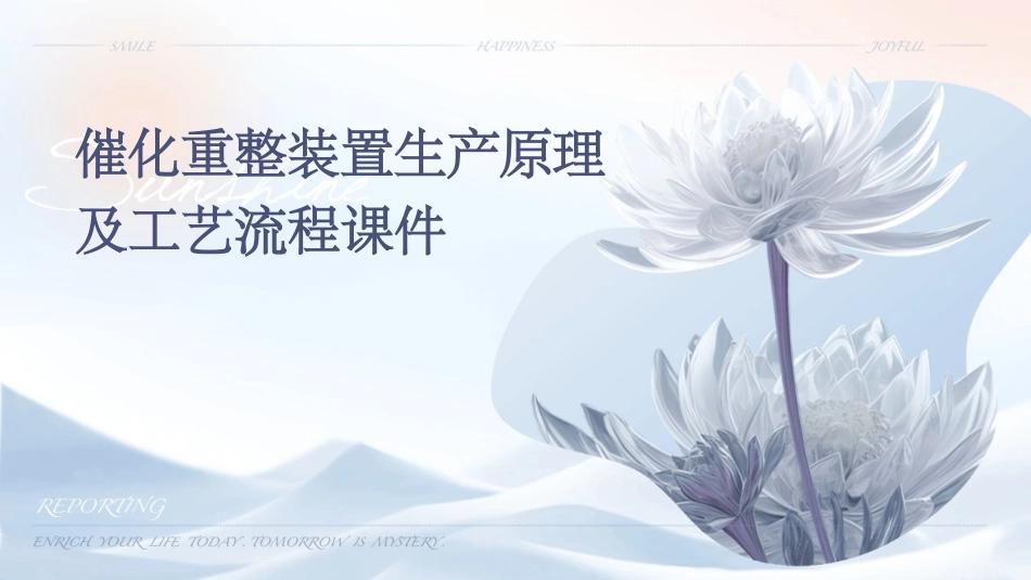 催化重整装置生产原理及工艺流程课件_第1页