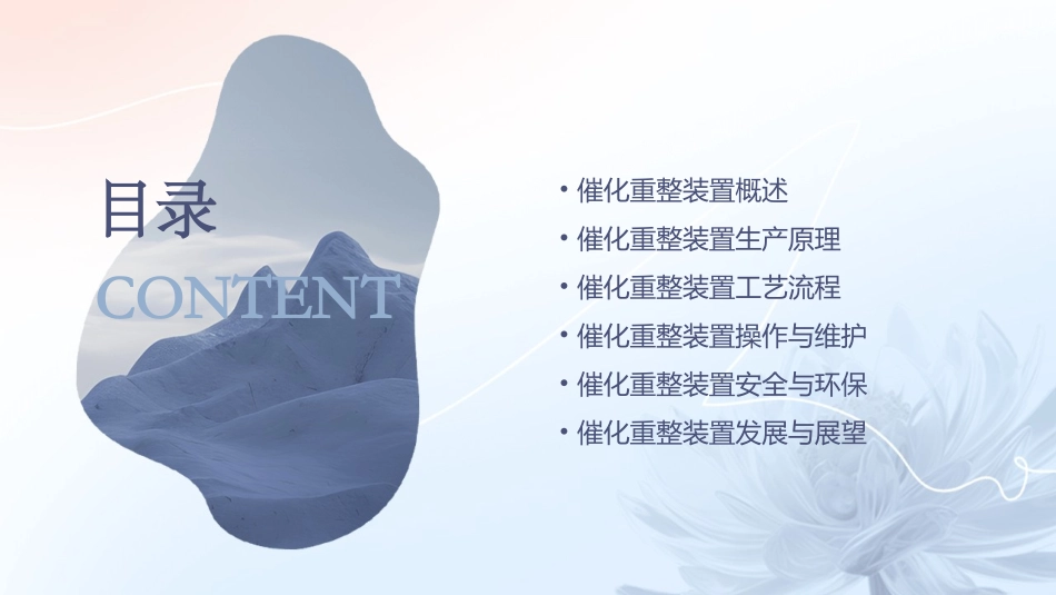 催化重整装置生产原理及工艺流程课件_第2页