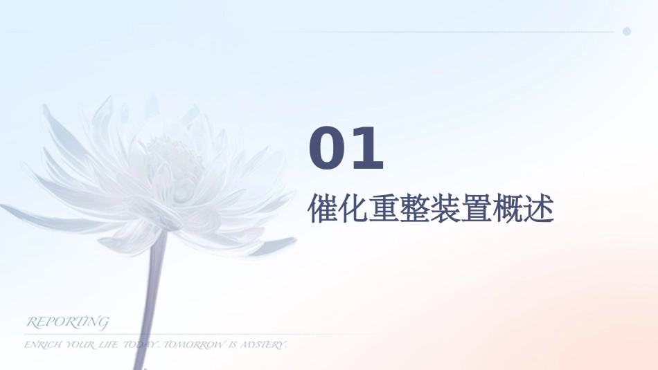 催化重整装置生产原理及工艺流程课件_第3页