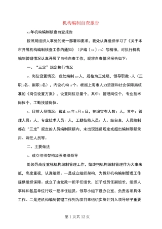机构编制自查报告-编制自查报告