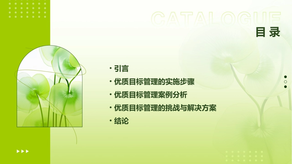 优质目标管理案例护理课件_第2页