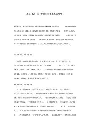 磷酸铁锂发展战略以及与其他几种动力电池的比较