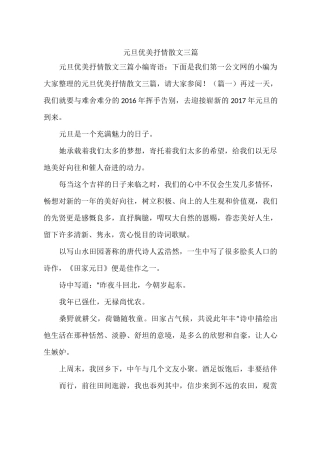 元旦优美抒情散文三篇