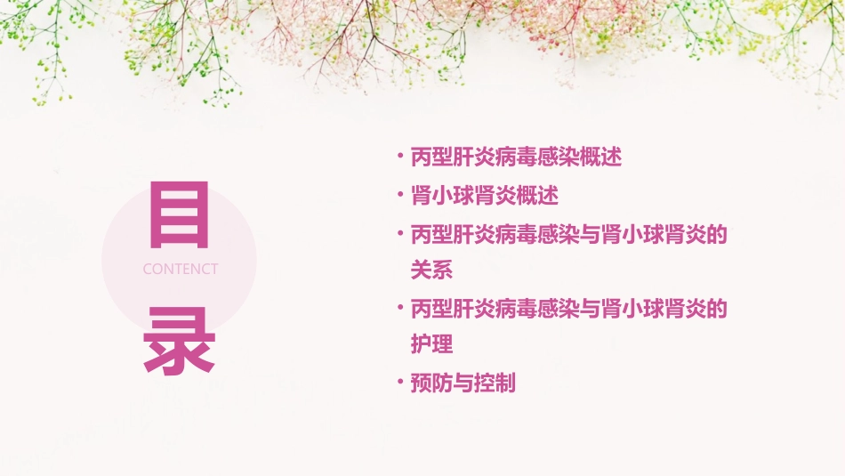 丙型肝炎病毒感染与肾小球肾炎护理课件_第2页