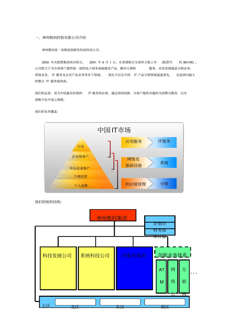 神州数码公司介绍：_第1页