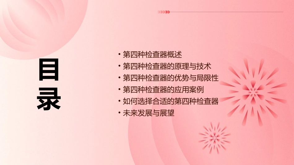 第四种检查器介绍课件_第2页