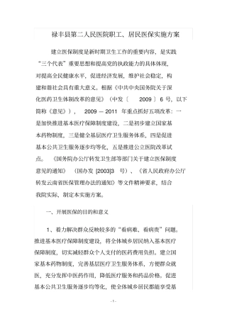 禄丰第二人民医院医保实施方案