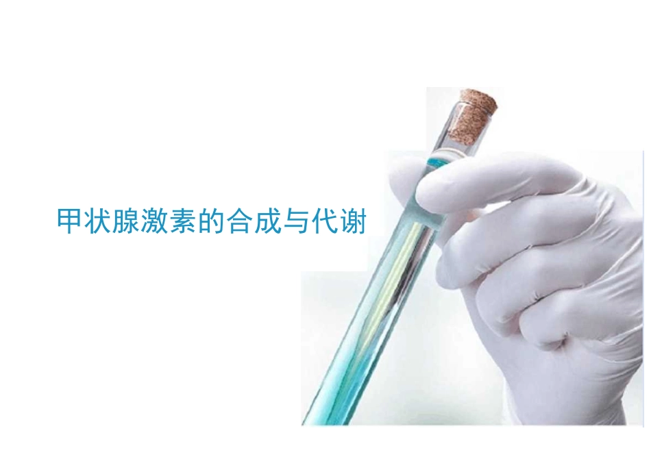 甲状腺激素的合成与代谢课件_第2页