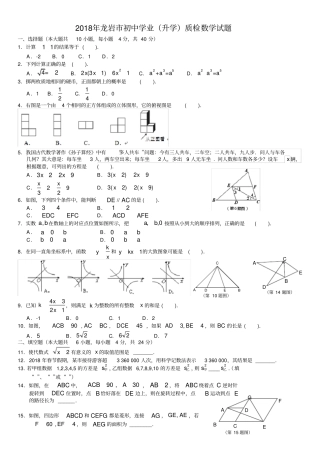 福建龙岩2018届九年级5月质量检测数学试题版