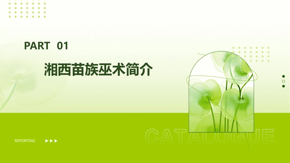 湘西苗族巫术概要课件_第3页