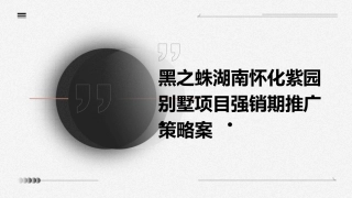 黑之蛛湖南怀化紫园别墅项目强销期推广策略案课件