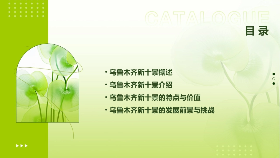 乌鲁木齐新十景介绍剖析课件_第2页