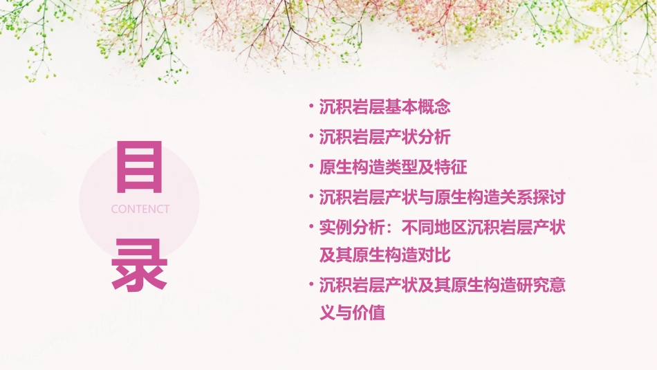 沉积岩层的产状及其原生构造课件_第2页