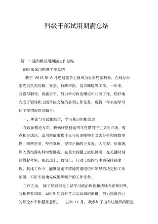 科级干部试用期满总结