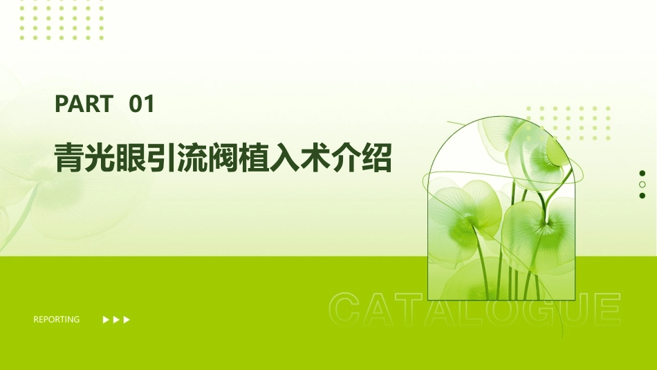 青光眼引流阀植入术后脉络膜脱离护理课件_第3页