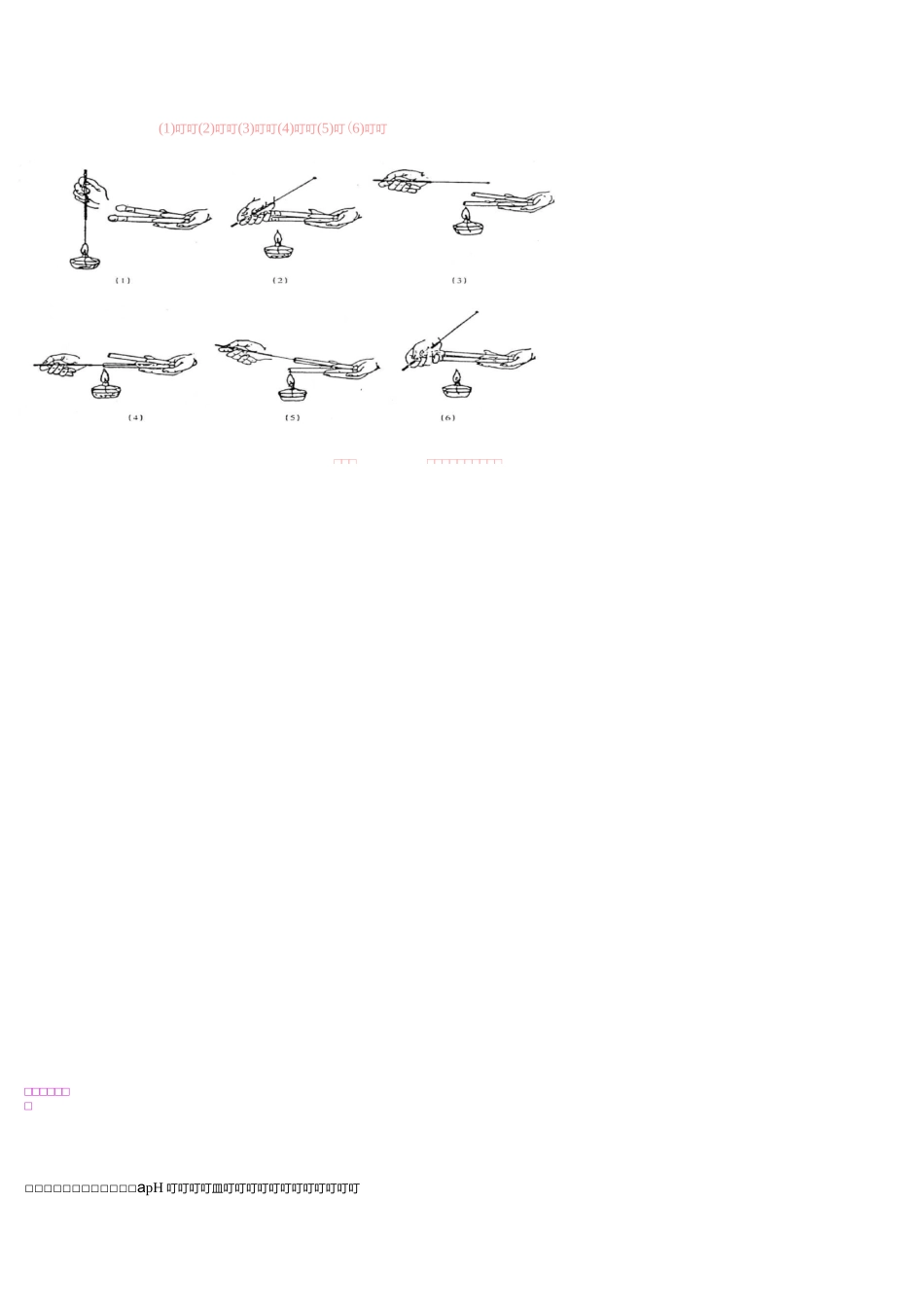 菌种的分离与纯化_第3页