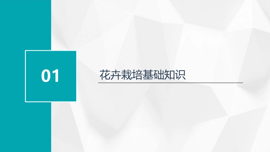 花卉栽培管理课件_第3页