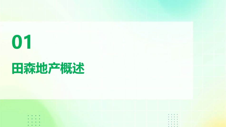 田森地产介绍课件_第3页
