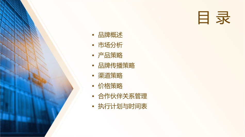 丝爽卫生巾品牌策略提案课件1_第2页