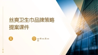 丝爽卫生巾品牌策略提案课件1