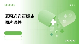 沉积岩岩石标本图片课件