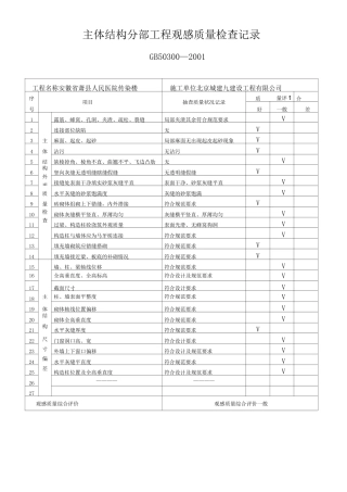 主体结构分部工程观感质量检查记录