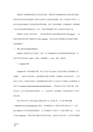凋亡相关的基因和蛋白.